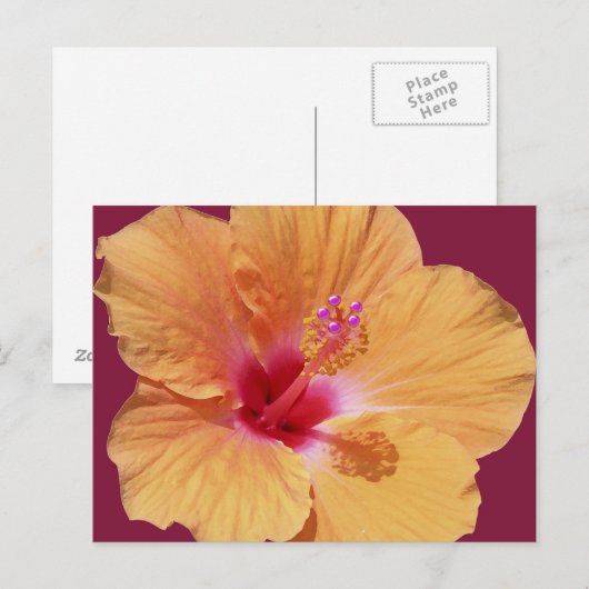 Tropisch Hawaïaans Briefkaart (Voorkant / Achterkant)