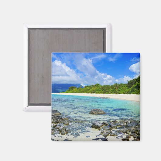 Tropisch Hawaïaans rotsachtig strand Magneet (Voorkant / Achterkant)