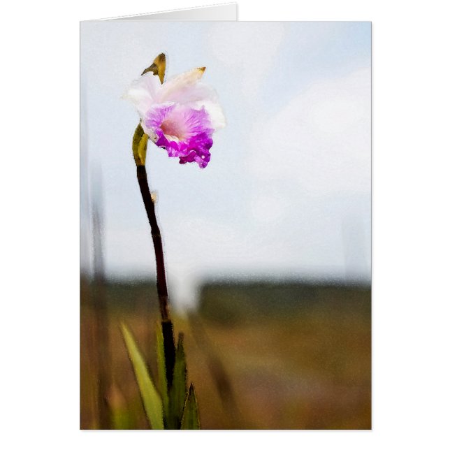 Tropisch Hawaii Volcano Wild Orchid (Voorkant)