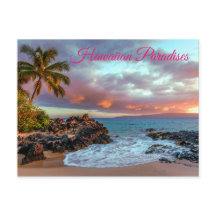 Tropisch Hawaiian Palm Tree Sandy Beach Paradise