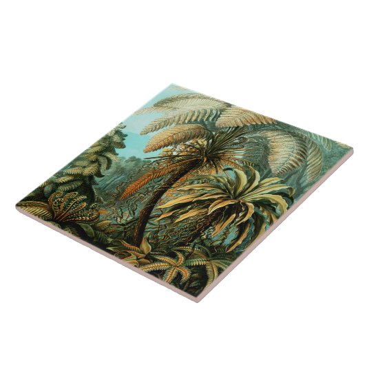 Tropisch herstel met palmboom tegeltje (Zijkant)