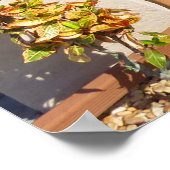 Tropisch huis Plumbago Hibiscus bloemen Poster (Hoek)