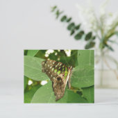 Tropisch Iridescent Green Butterfly Briefkaart (Staand voorkant)