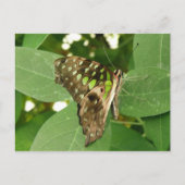 Tropisch Iridescent Green Butterfly Briefkaart (Voorkant)