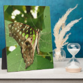 Tropisch Iridescent Green Butterfly Plaque Fotoplaat (Zijkant)