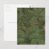 Tropisch jungle bos briefkaart (Voorkant / Achterkant)