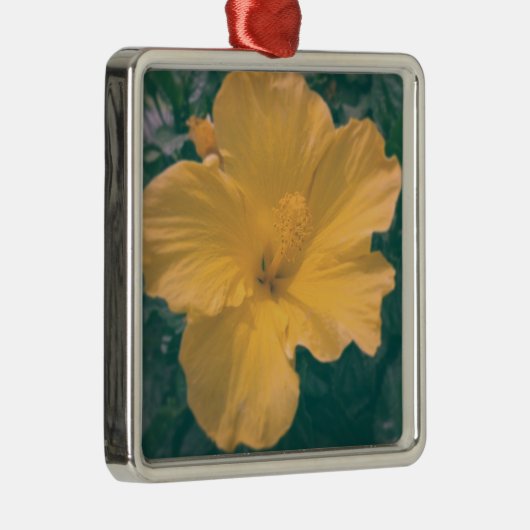 Tropisch kijkventilator metalen ornament (Rechts)