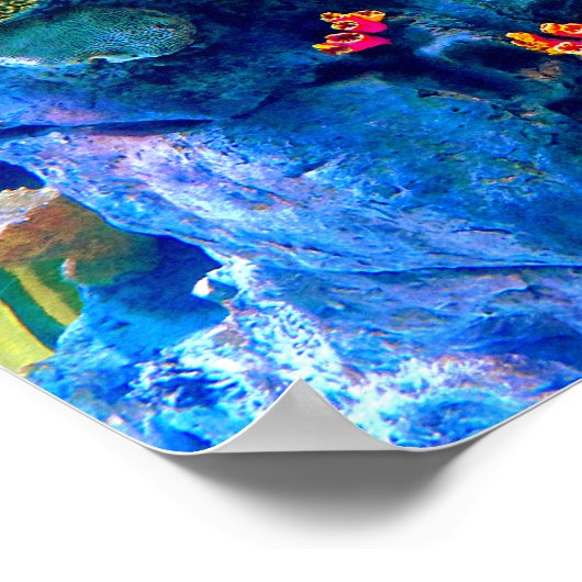 Tropisch kleurrijk koraalrif poster (Hoek)