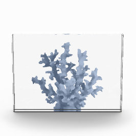 Tropisch koraal fotoblokken