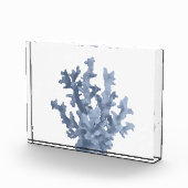 Tropisch koraal fotoblokken (Rechts)