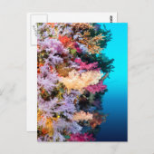 Tropisch koraalrif briefkaart (Voorkant / Achterkant)