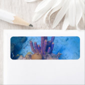 Tropisch koraalrif etiket (Insitu)