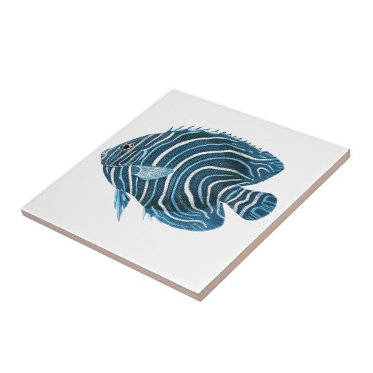 Tropisch koraalrif tegeltje (Zijkant)