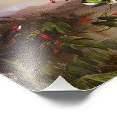 Tropisch landschap met tien kolibries kop foto afdruk (Hoek)