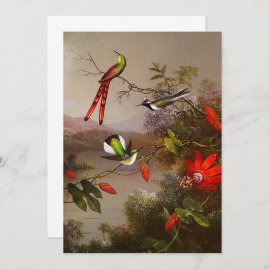 Tropisch landschap met tien kolibries kop kaart (Voorkant / Achterkant)