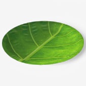 Tropisch leder verwijderbare papieren Borden Papieren Bordje (Gekanteld)