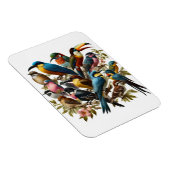 Tropisch Magneet (Rechterzijde)