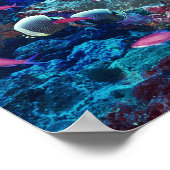 Tropisch marien leven poster (Hoek)