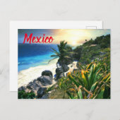 Tropisch Mexico Beach Shore Sunset Palm Island Briefkaart (Voorkant / Achterkant)