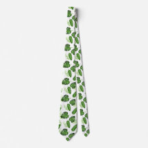 Tropisch Monstera blad groen botanisch
