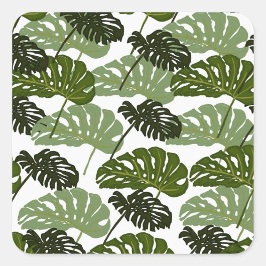 Tropisch Monstera Leaf Green Vierkante Sticker (Voorkant)