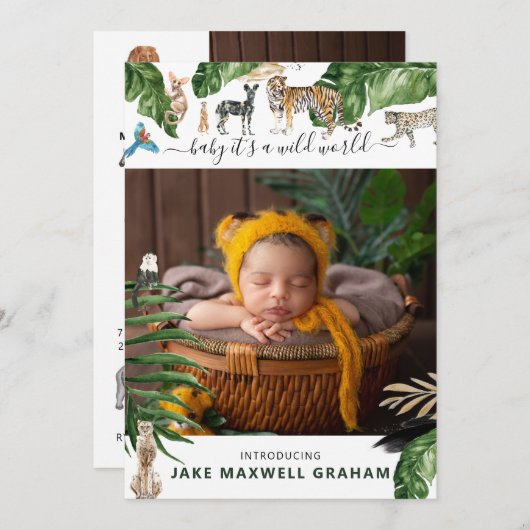 Tropisch Oerwoud | Aankondiging van een tweeledige (Voorkant / Achterkant)