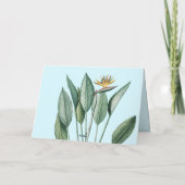 Tropisch Oerwoud bananenboom Strelitzia Dank u wel Kaart (Achterkant)