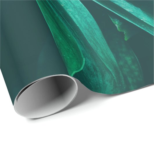 tropisch oerwoud bladerblad, donkergroene blad nat cadeaupapier (Rol Hoek)