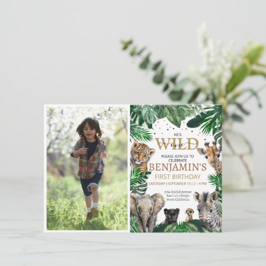 Tropisch Oerwoud Safari Kaart (Staand voorkant)