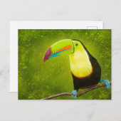 Tropisch Oerwoud Toucan Bird Digitale Schilderij Briefkaart (Voorkant / Achterkant)