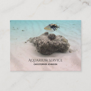 Tropisch onderhoud van aquarium voor vissen visitekaartje