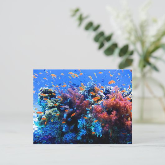 Tropisch onderwaterecosysteem briefkaart (Staand voorkant)