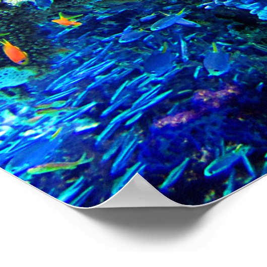 Tropisch onderwaterecosysteem poster (Hoek)