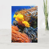 Tropisch onderzeese koraal kaart (Voorkant)