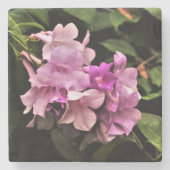 Tropisch Onderzetter van de Regenventilator (Voorkant)