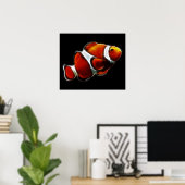 Tropisch Oranje Clownfish Clown Fish Poster (Thuiskantoor)