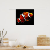 Tropisch Oranje Clownfish Clown Fish Poster (Keuken)