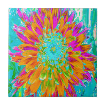 Tropisch Oranje en warm roze decoratieve Dahlia