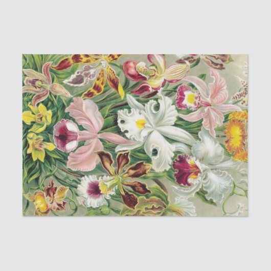 Tropisch orchidee Flowers Floral Weefselpapier Tissuepapier (Voorkant)
