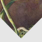 Tropisch orchidee Flowers Floral Weefselpapier Tissuepapier (Detail)