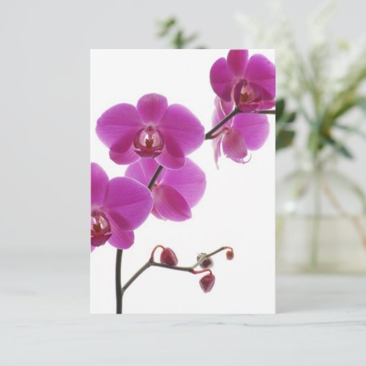 Tropisch Orchidee Huwelijksuitnodiging Reactiekaar RSVP Kaartje (Staand voorkant)
