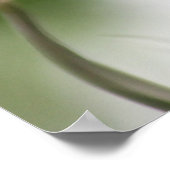 Tropisch orchidee Poster (Hoek)