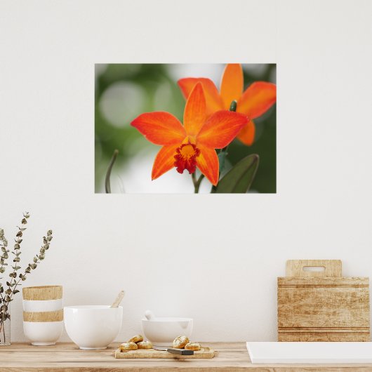 Tropisch orchidee Poster (Keuken)