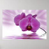 Tropisch orchidee poster (Voorkant)