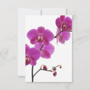 Tropisch orchidee Weddenschap RSVP Kaartje