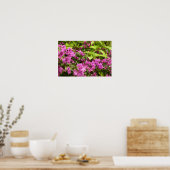 Tropisch Paarse Bougainvillea Bloem Poster (Keuken)
