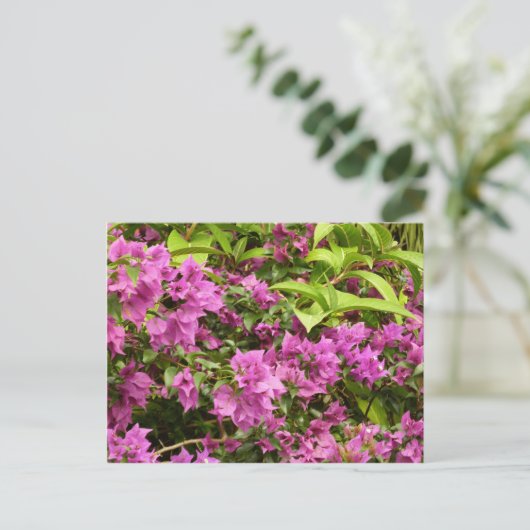 Tropisch Paarse Bougainvillea Floral Briefkaart (Staand voorkant)