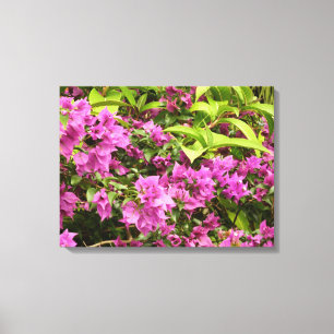 Tropisch Paarse Bougainvillea Floral Canvas Afdruk