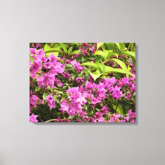Tropisch Paarse Bougainvillea Floral Canvas Afdruk (Voorkant)