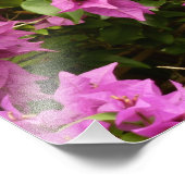 Tropisch Paarse Bougainvillea Floral Foto Afdruk (Hoek)